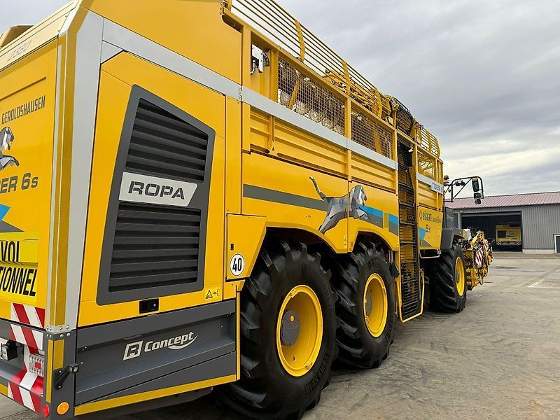 Ropa tiger6s Equipo de recolección de remolacha