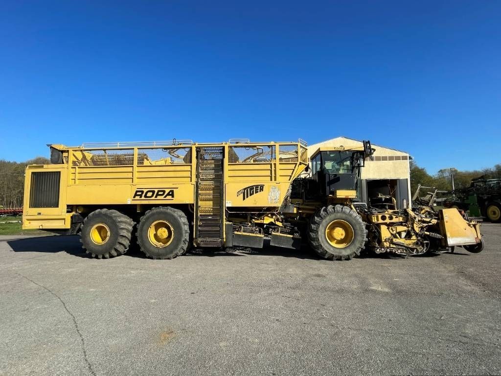 E-FARM: Ropa euro tiger - Arracheuse de betteraves - id CZIZYMC - 64 338 € - Année: 2002 - Lecture du nombre d'heure: 3 464,Puissance du moteur (chevaux): 500,Hongrie