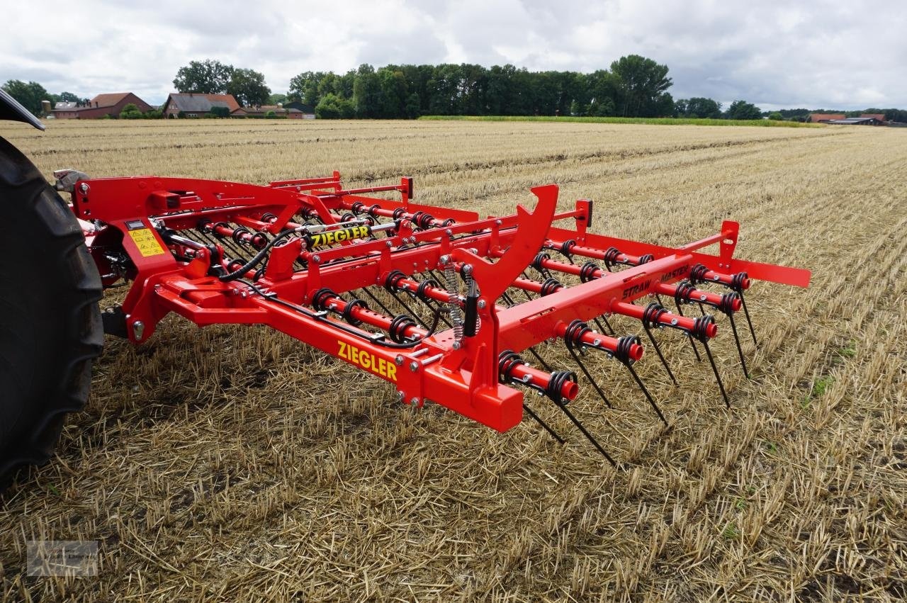 sonstige ziegler straw master 6001 strohstriegel mechanical_weed_control 13 700 €