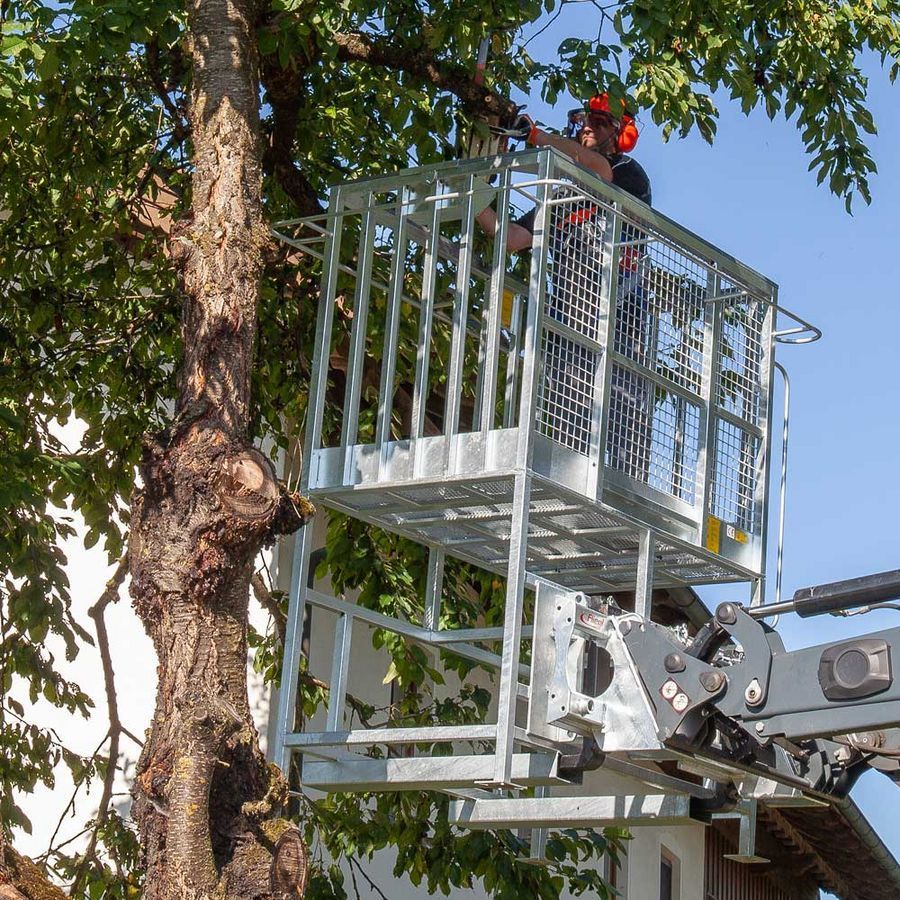 E-FARM: Fliegl arbeitskorb mit erhöhung euro und palettengabel - Anbaugerät - id MILYCMK - 1.884 € - Österreich