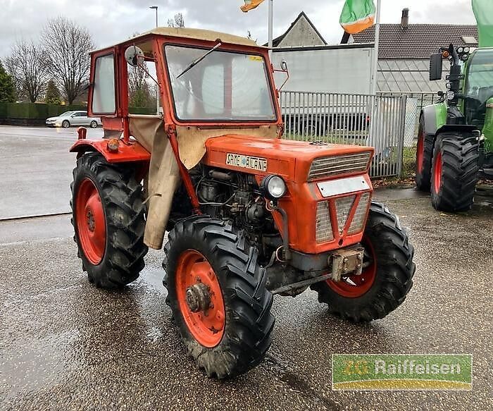 E-FARM: SAME atlanta - Tracteur - id NE5ETXV - Année: 1965 - Lecture du nombre d'heure: 2 152,Allemagne