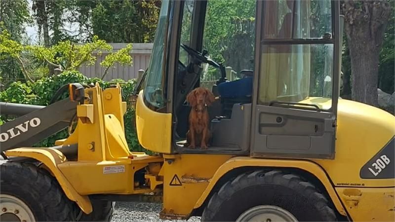 VOLVO l30b skovl o gafler, hydraulisk skift Cargador de ruedas 18.695 €