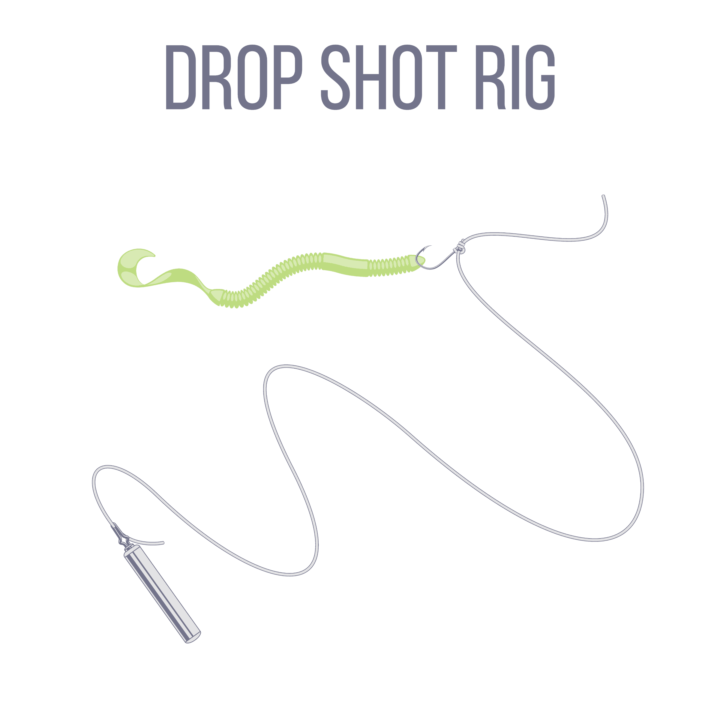 Drop Shot Rig