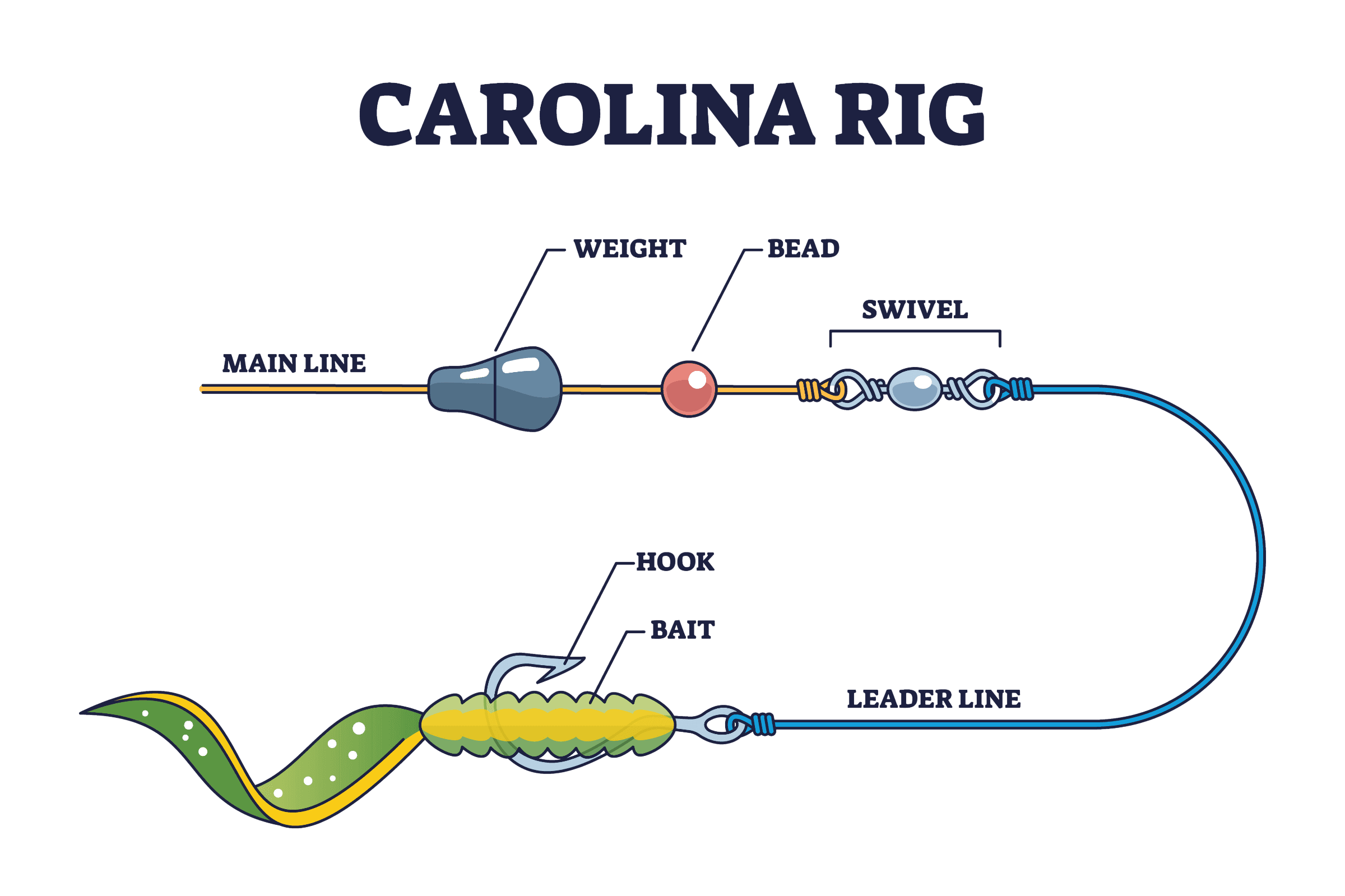 Carolina Rig