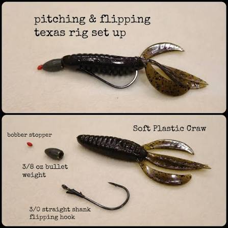 Pitching and Flipping Rig