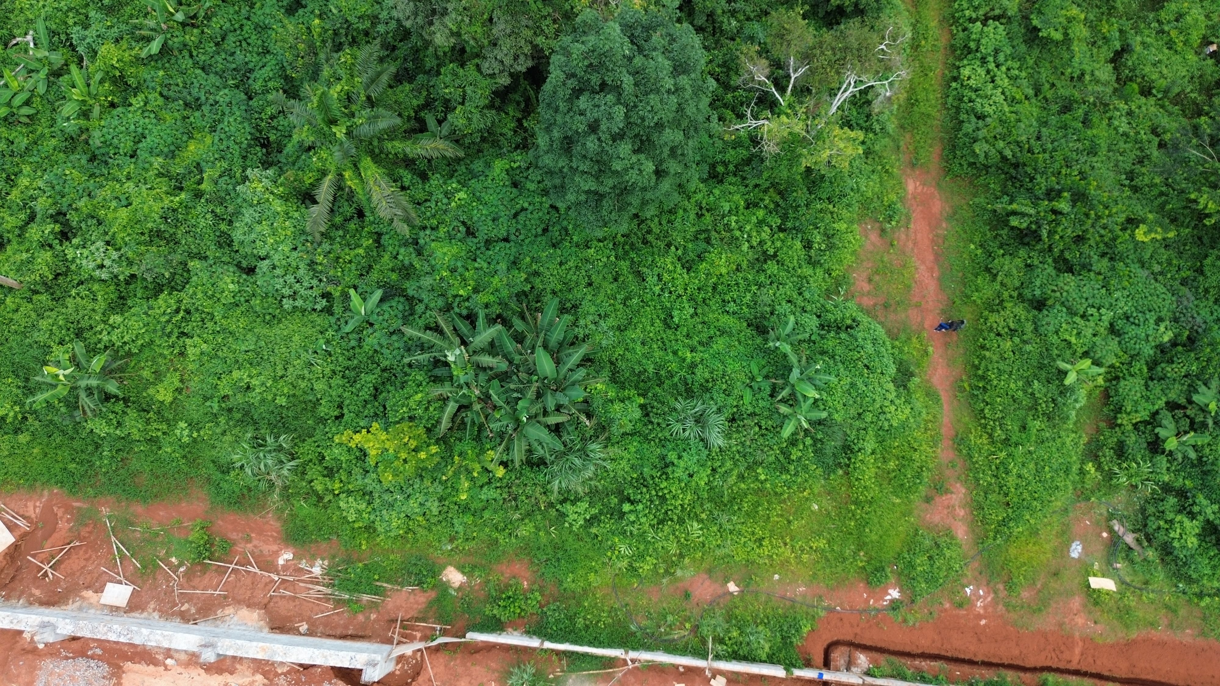 Terrain Non Bati Binguela