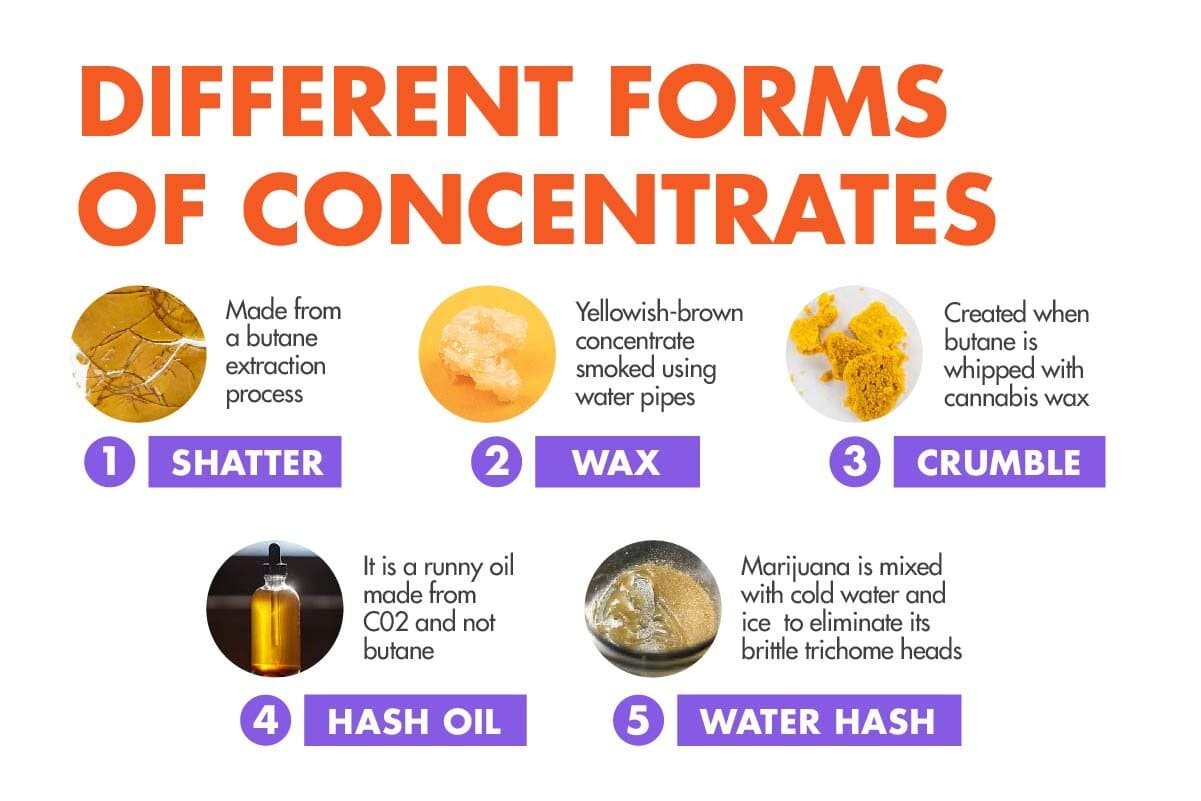Different types of cannabis concentrates