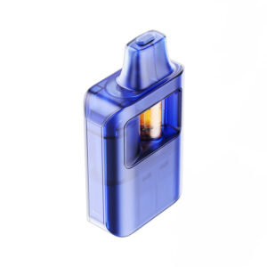 Empty 2g Disposable Vape Pen Glass Pod V2