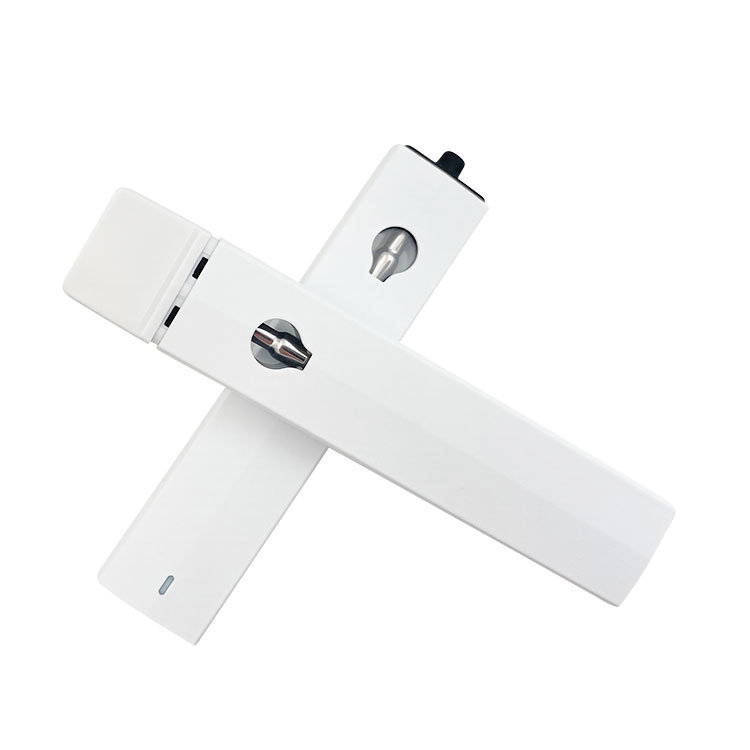 white color 1.0ml P4 rechargeable weed pen
