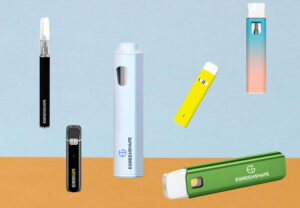 Best Disposable Vape Pens