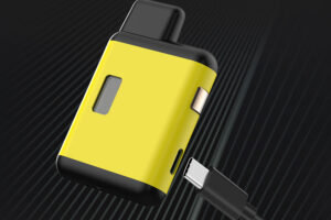 rechargeable disposable vape