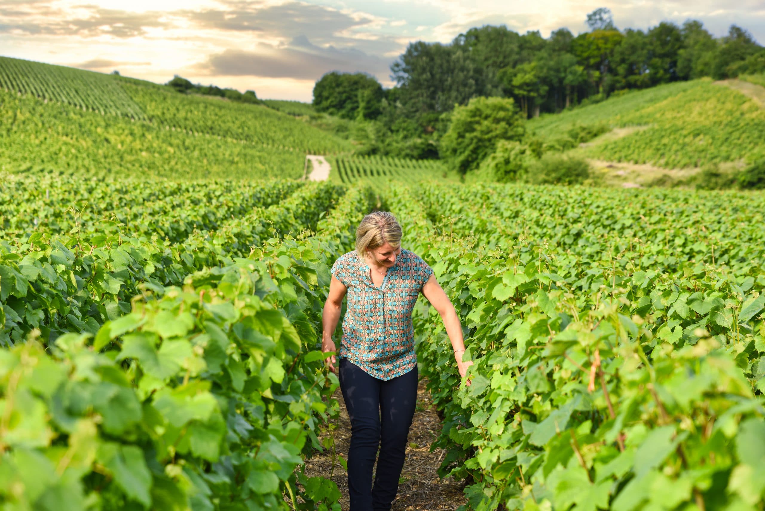 Le Vignoble - Champagne Egrot & Filles