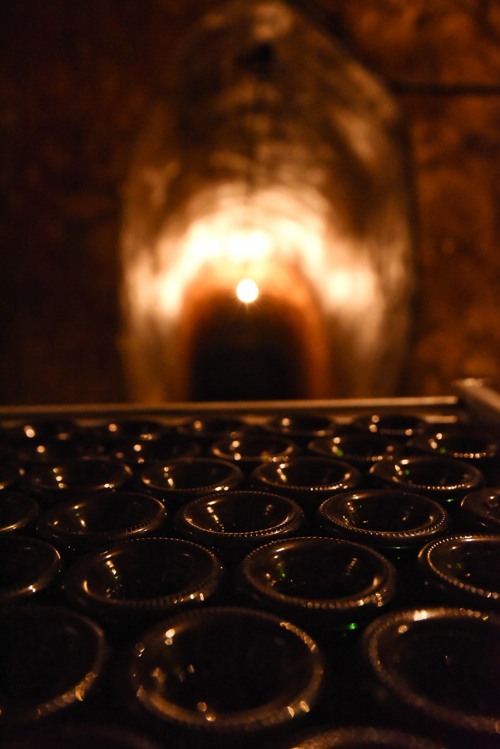 From the vineyars to the cellars - Champagne Egrot