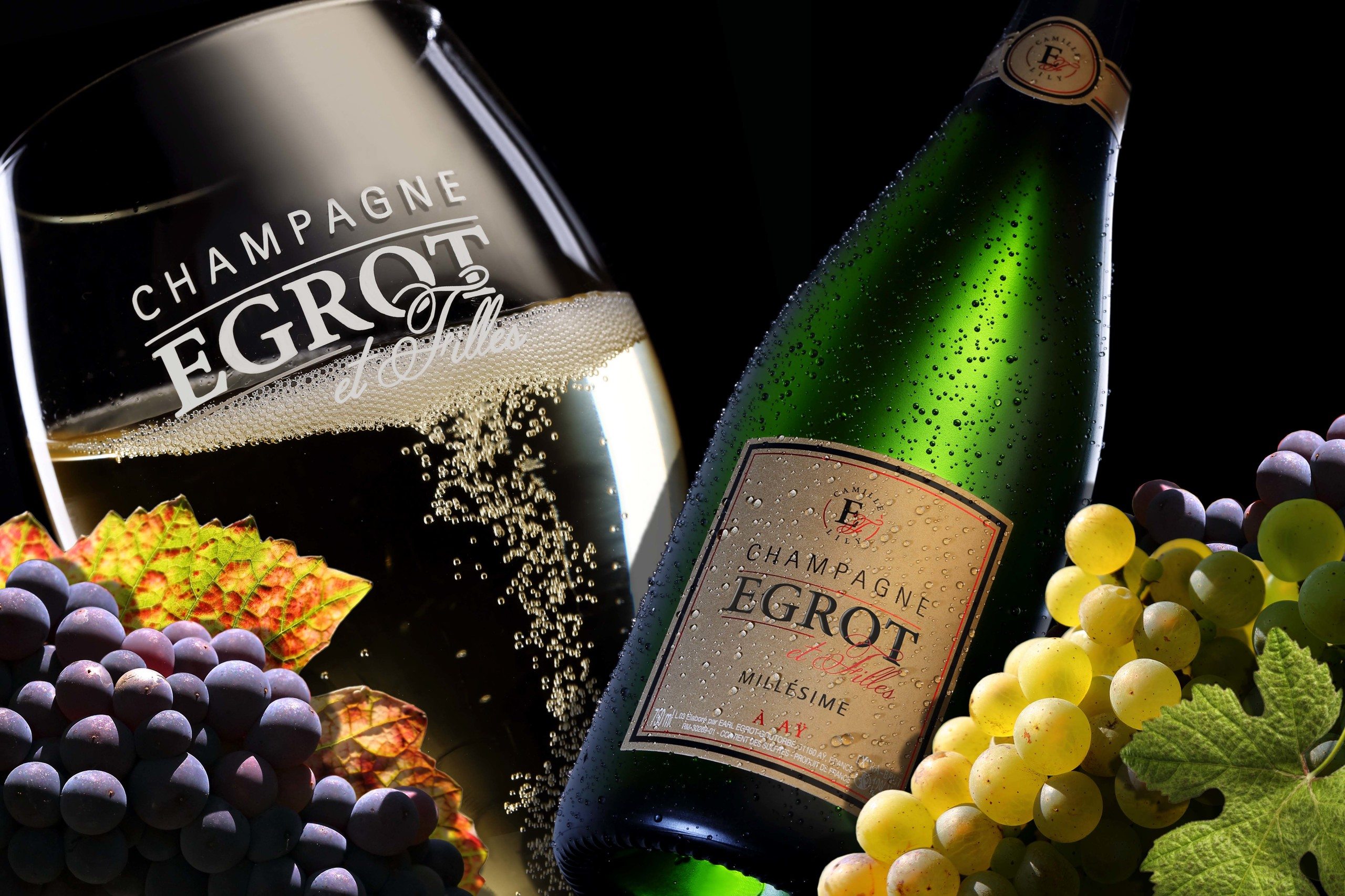 Our Champagnes - Champagne Egrot