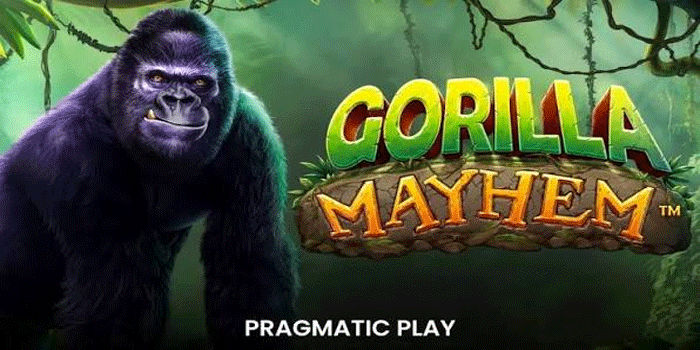 Gorilla Mayhem: Menjelajahi Dunia Gorilla dengan Gaya Berbeda
