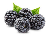 Brombeeren - Böğürtlen 250g