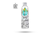 Ursu Mineralwasser 500ml