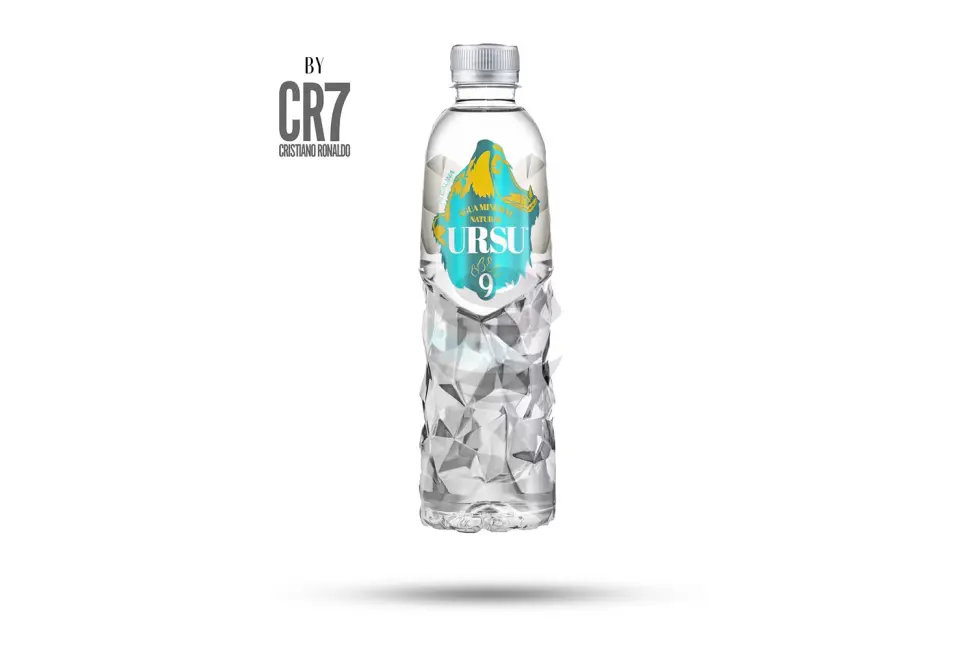 Ursu Mineralwasser 500ml