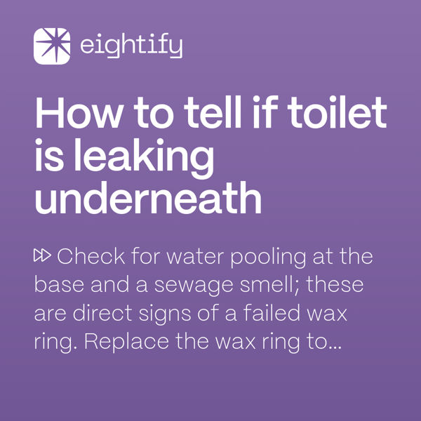 How to tell if toilet is leaking underneath Eightify