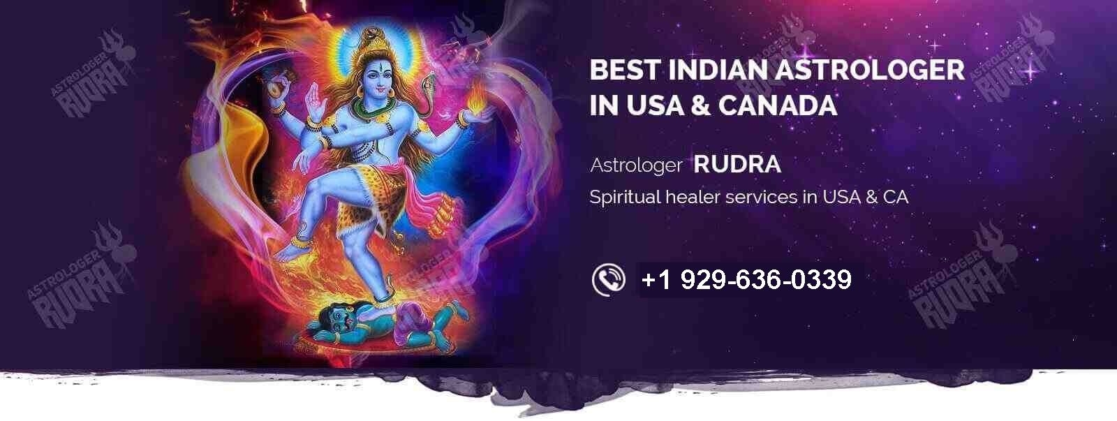 Famous Indian Astrologer in USA