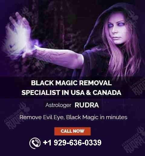 Famous Indian Astrologer in USA, Best Astrologer, Top Indian Astrologer in USA, Canada