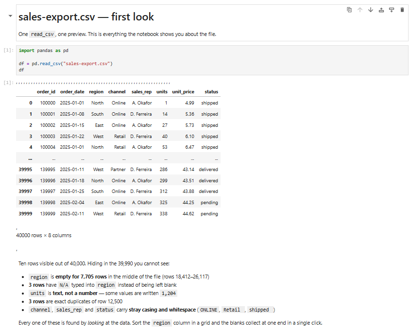 Truncated pandas preview of a 40,000-row sales CSV in Jupyter, showing 10 rows while blanks, N/A values and duplicates stay hidden