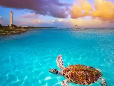 Private Transfer to Akumal