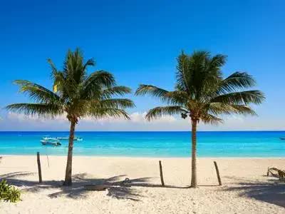 Transfer to Puerto Aventuras