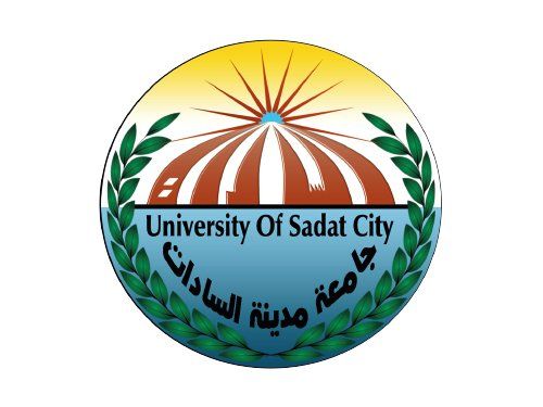 Elsadat University staff