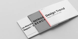 DESIGN INTELLIGENCE REPORTS: POWERING STRATEGIC DECISIONS, SHAPING MARKETS