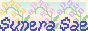 Sunera Sae site button