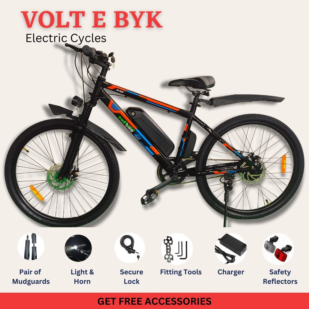 electric bike ecotric