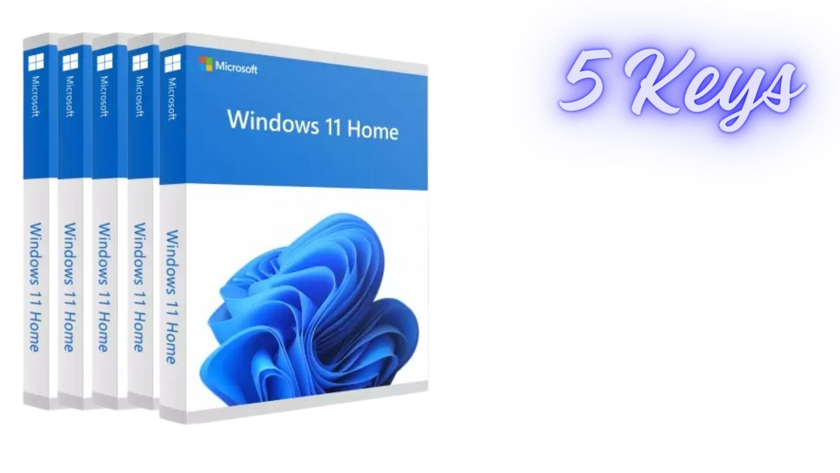 Windows 11 Home 5 Keys Pack 5329