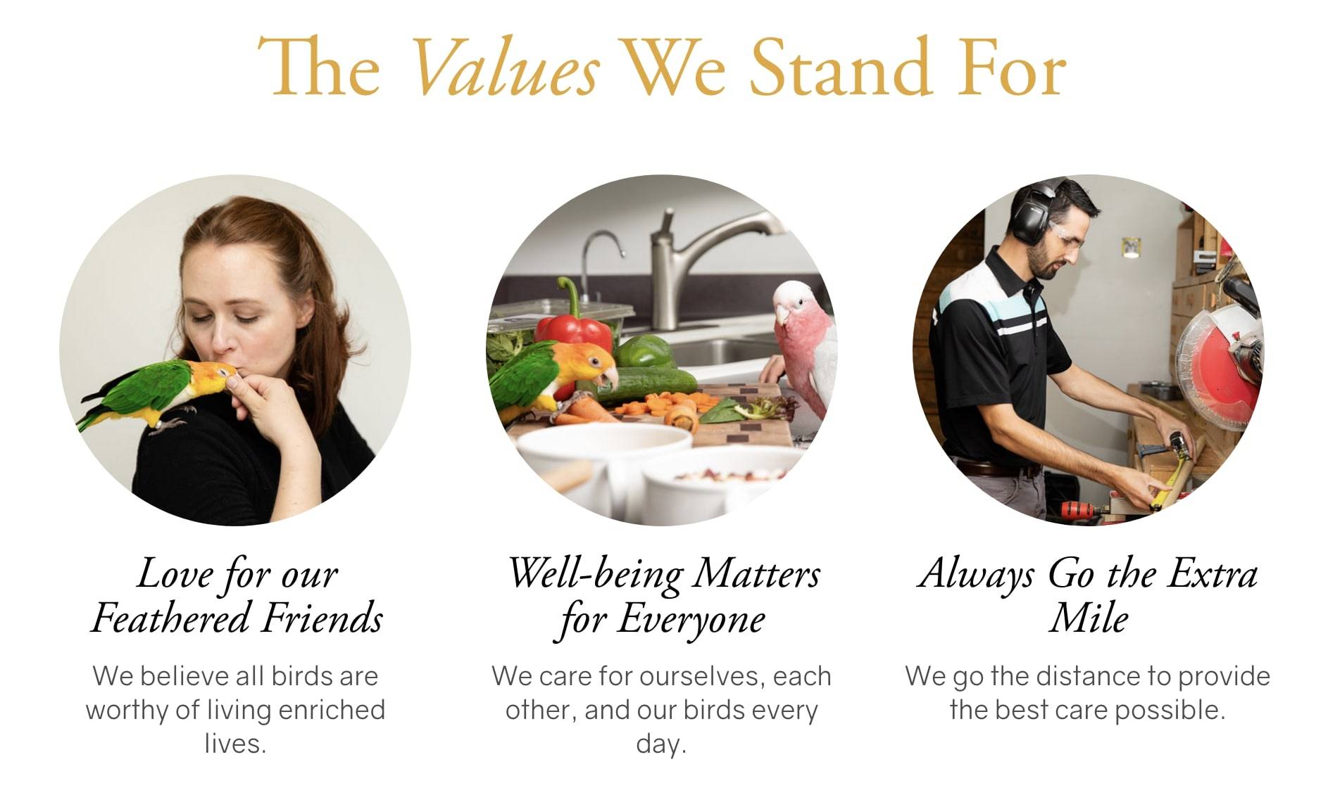 Barton Bird Care website core values page screenshot