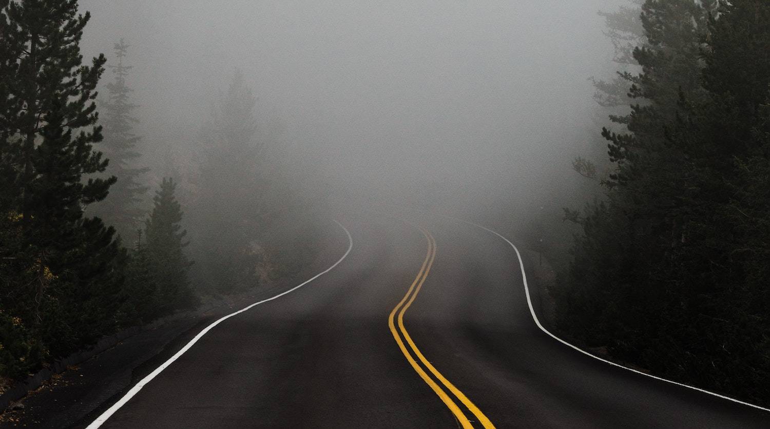 Dealing with Uncertainty: a road in the woods leading into the fog