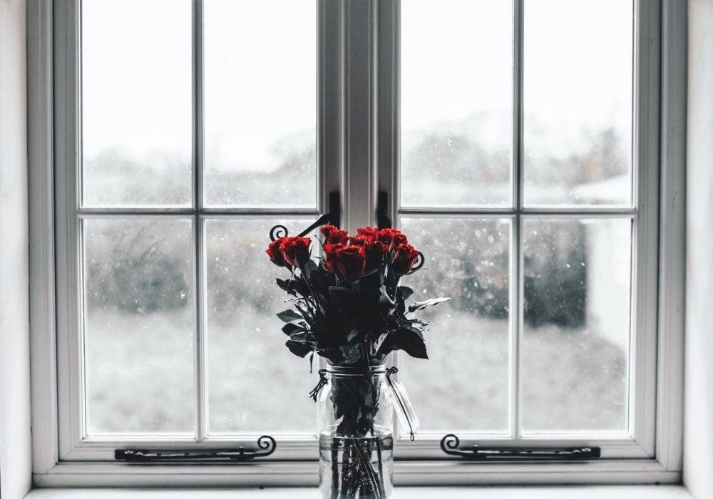 fun ways to cure the winter blues: a bouquet roses on top of a window with an icy cold white winter outside