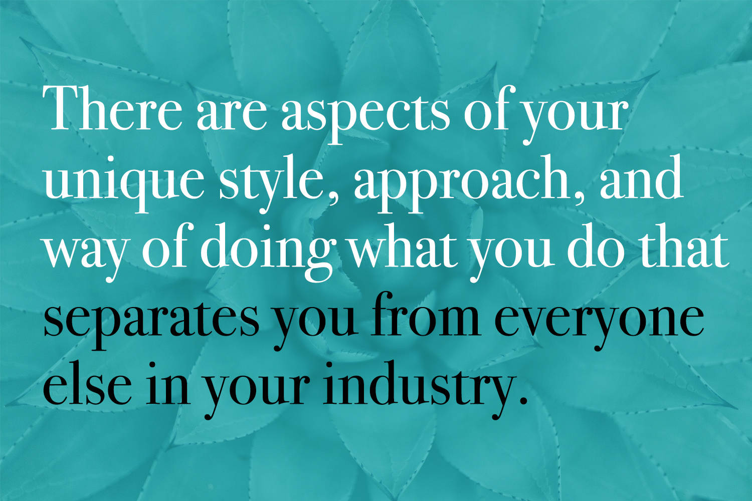 There are aspects of your unique style, approach, philosophy, and way of doing what you do that separates you from everyone else in your industry.