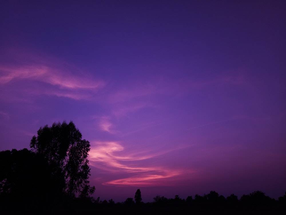 website color psychology - purple sky at sunset