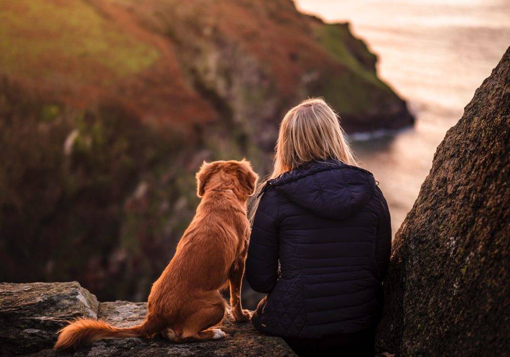 Woman and dog sitting overlooking the water