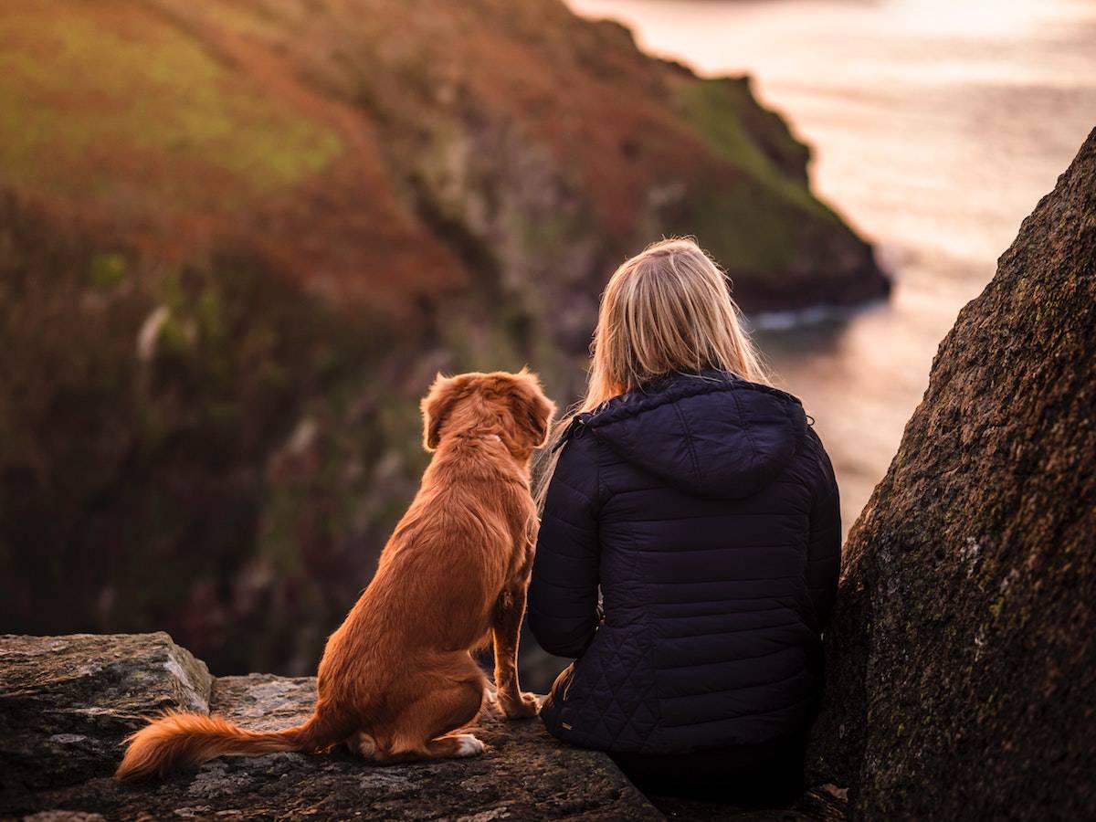 Woman and dog sitting overlooking the water