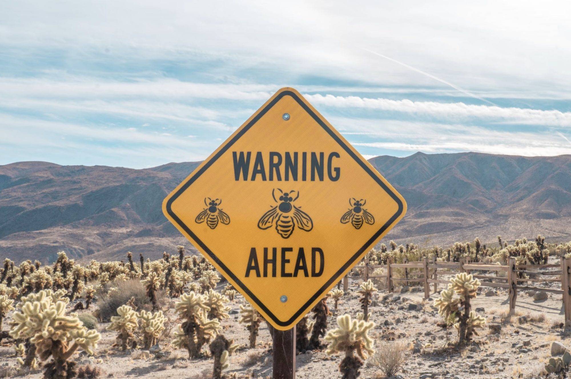 bees warning sign in the dessert