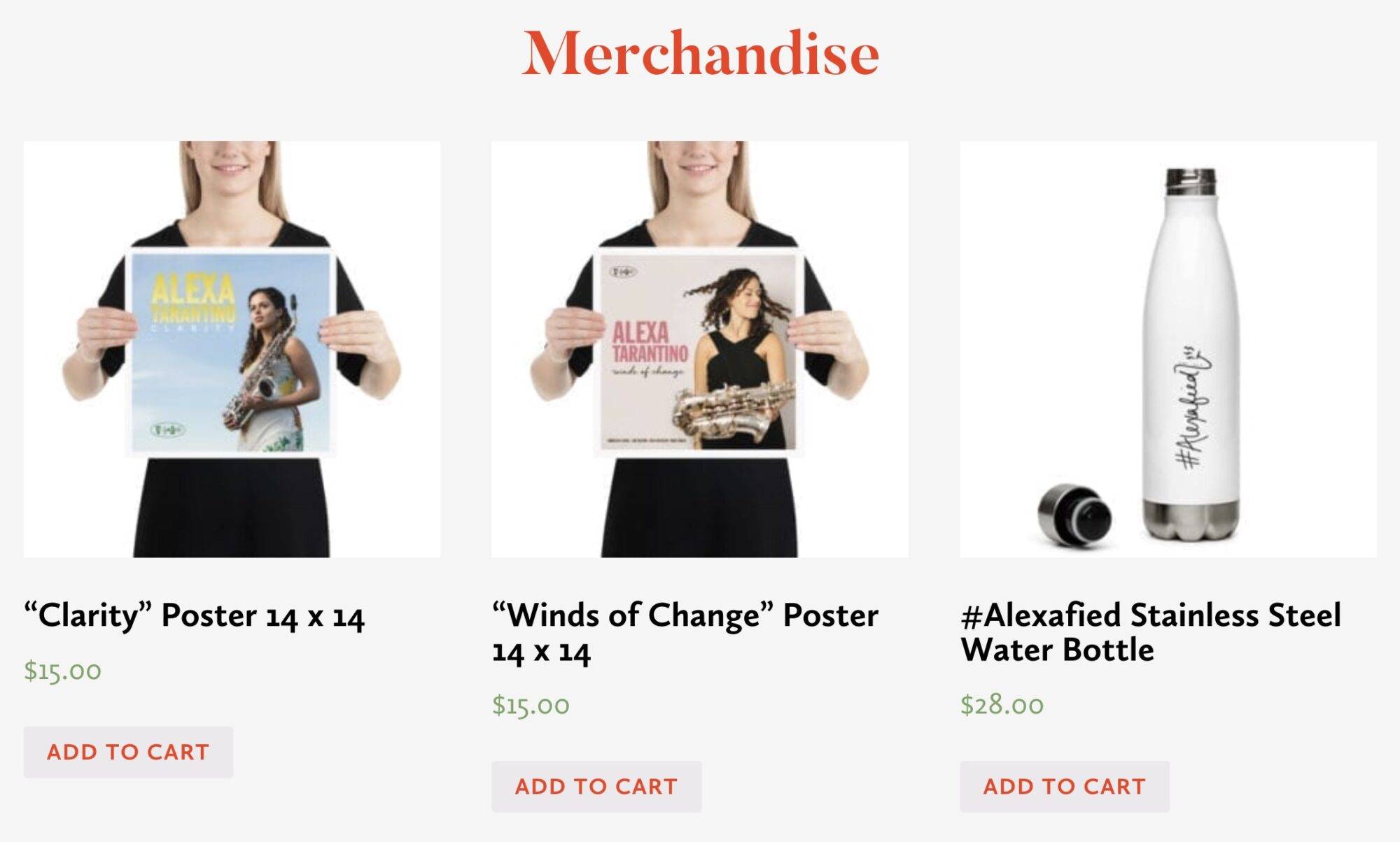Branded merch products for sale on a website