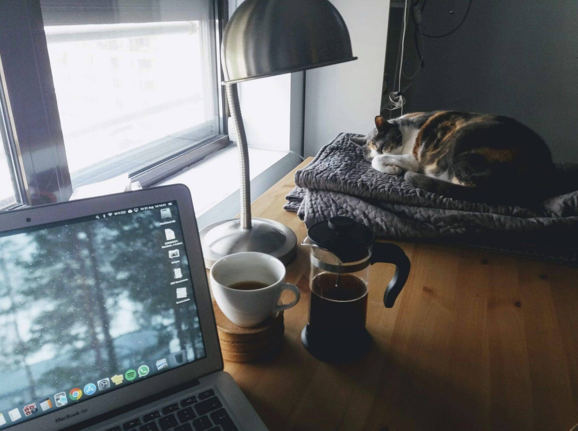 laptop with coffee and sleeping cat