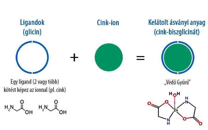 Cink-biszglicinát - maximális mennyiségű aminosav kelát formájú - 60 tabletta - Natur Tanya