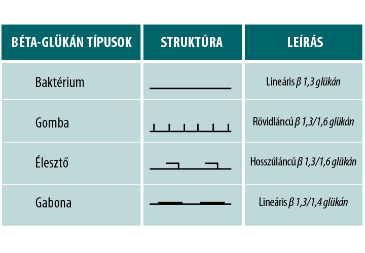 Fermentált Béta-Glukán-sörélesztő sejtfalból fermentált - 30 kapszula - Natur Tanya