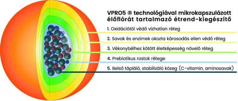 GastroBalance Plus Problémaspecifikus Probiotikum (60db) - Napfényvitamin