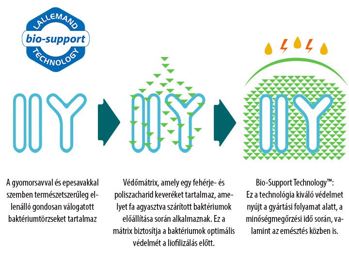 PSZICHOBIOTIKUM - a világ legjobban dokumentált probiotikumai a mentális egészséghez - 30 kapszula - Natur Tanya