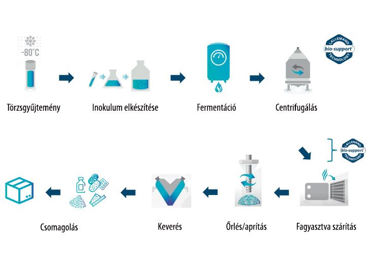 PSZICHOBIOTIKUM - liofilizált élőflórát és B6-vitamint tartalmazó étrend-kiegészítő, gyomorsav-ellenálló növényi kapszulában - 30 kapszula - Natur Tanya