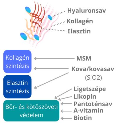 ReVital Skin & Body (30db) - Napfényvitamin