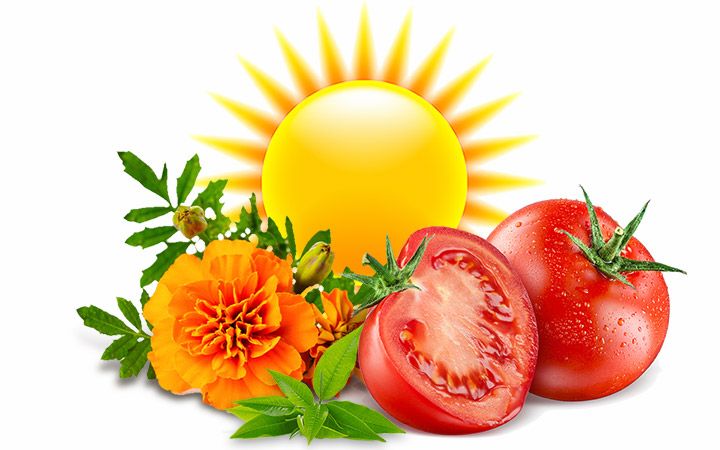 Solar vitamin - napozóvitamin, szoláriumozás, napozás vagy nap nélküli bőrpigmentációhoz - 30 kapszula - Natur Tanya